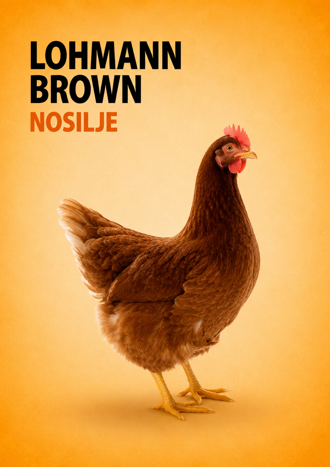 Lohmann Brown