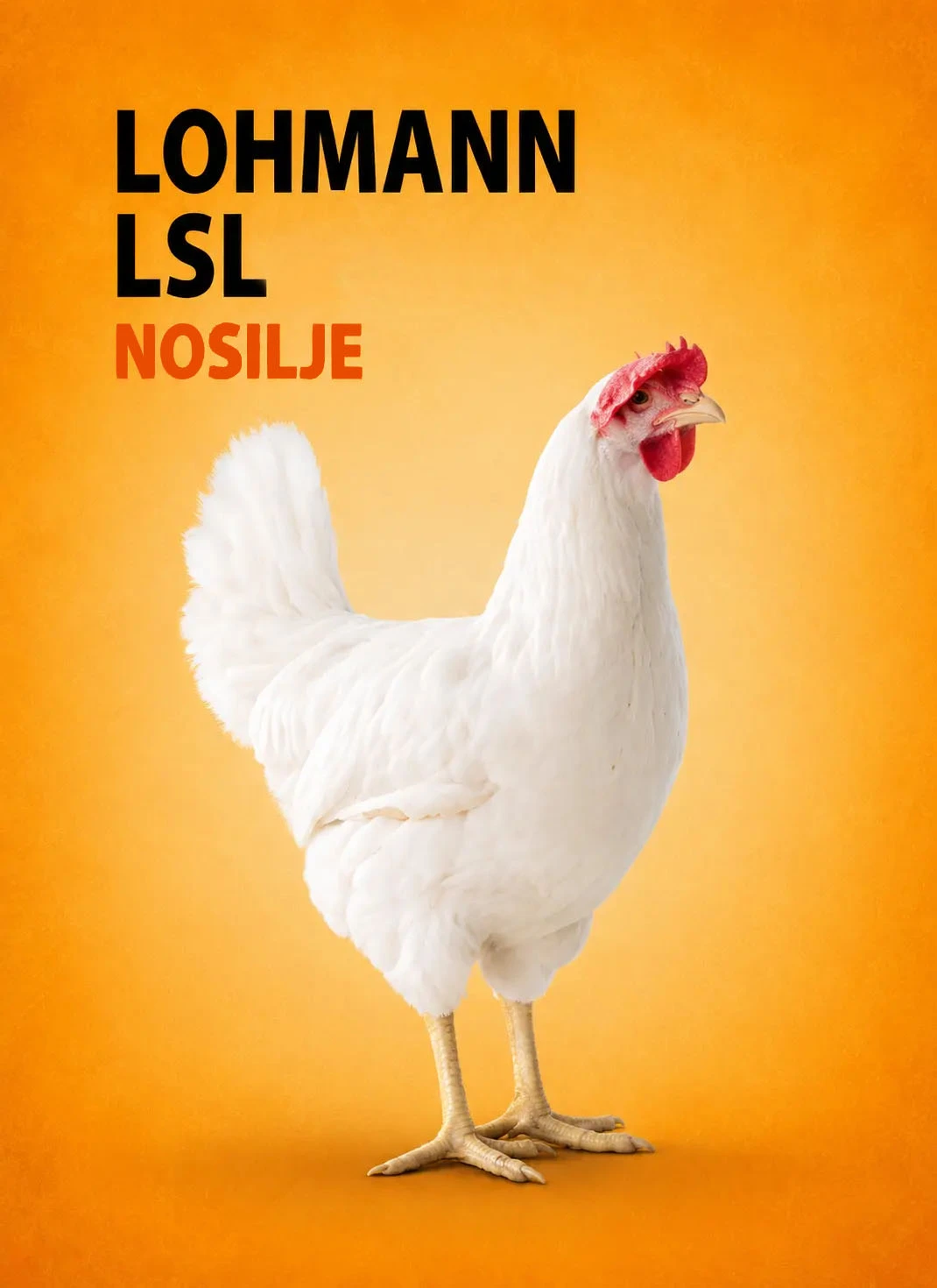 LSL
